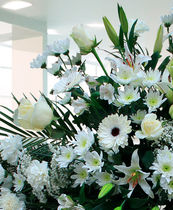 Corona Funeraria Superior a detlle